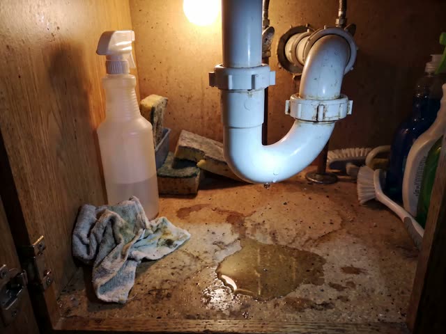 A still from the Home Repair Guide template: a dripping drain pipe under a kitchen sink